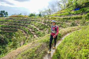 BIB: 
                            <button type="button" onclick="openModal(21854665)" class="btn btn-primary btn-sm float-right btn-popup" data-toggle="modal" data-target=".modal-high-quality">
                        <i class="fas fa-shopping-cart"></i> Add to Cart
                    </button>
                                            <button type="button" onclick="isThisMe(21854665, true)" class="btn btn-success btn-sm float-right btn-popup btn-isme hidden" data-toggle="tooltip" data-placement="bottom" title="นี่คือรูปของคุณใช่ไหม คลิกที่นี่เพื่อเอาเข้าอัลบั้ม">
                        <i class="fas fa-plus"></i> Add to album
                    </button>
                    <button type="button" onclick="isThisMe(21854665, false)" class="btn btn-warning btn-sm float-right btn-popup btn-isnotme hidden">
                        <i class="fas fa-ban"></i> Remove from album
                    </button>